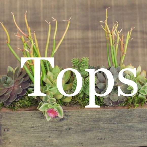 ππππππππππππ - Picture 1 of 1